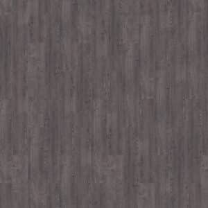 Mflor 75115 Argyll Fir Montrose 20-03